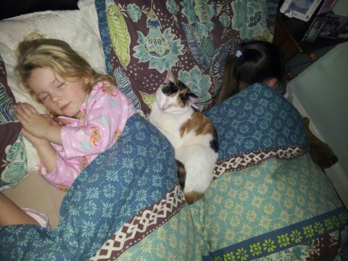 Penny in her foster home