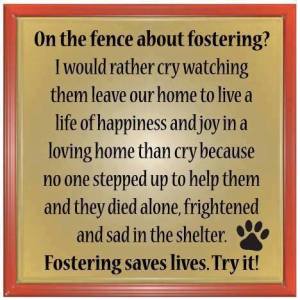 1011412_10151707892072505_993400144_n