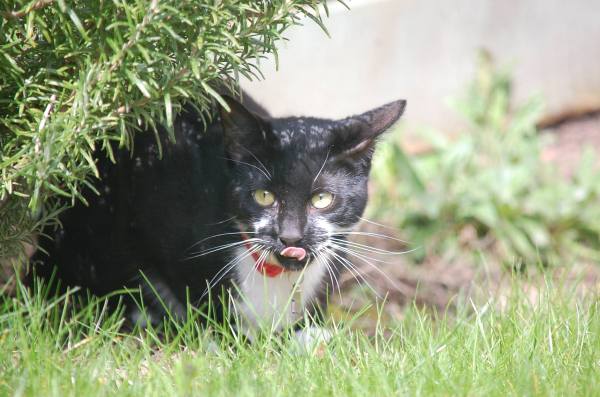 Photo by Amelia Hunt