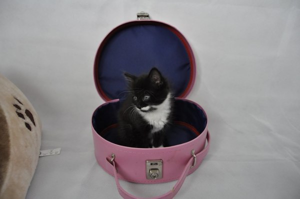 Photo by Amelia Hunt