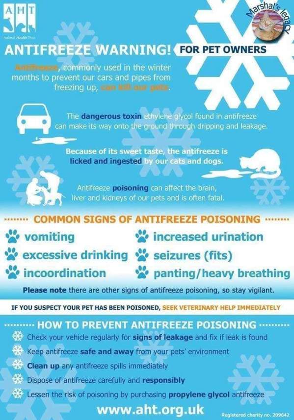 fb_img_1480023973830